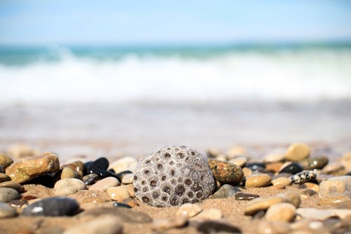 Rock on beach